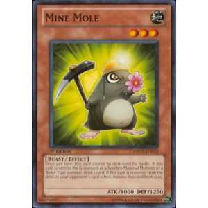 Mine Mole (Common)