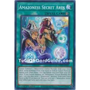 Amazoness Secret Arts (Common)
