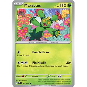 Maractus