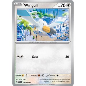 Wingull (Reverse/Holo)