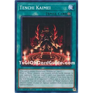 Tenchi Kaimei (Common)
