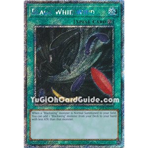 Black Whirlwind (Platinum Secret Rare)
