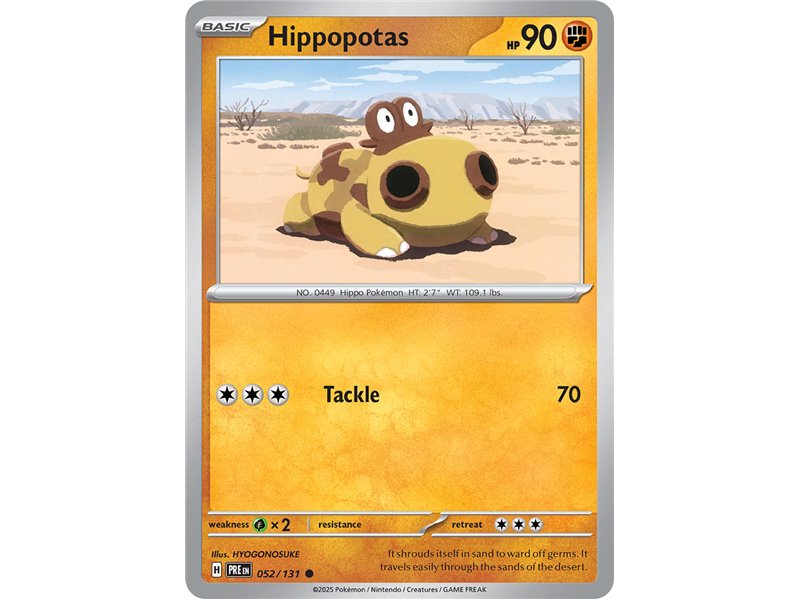Hippopotas (Common)