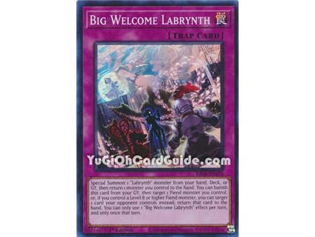 Big Welcome Labrynth (Collector's Rare)