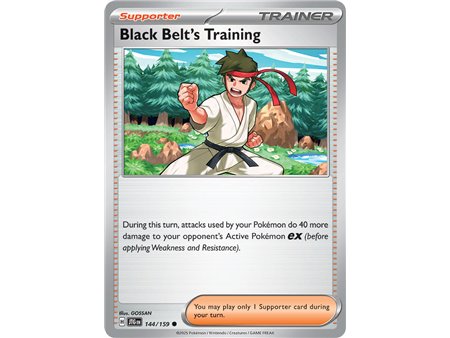 Black Belt's Training (Common)