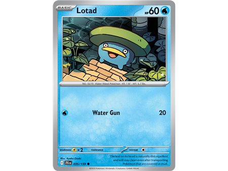 Lotad (Common/Reverse Holofoil)