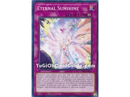 Eternal Sunshine (Common)