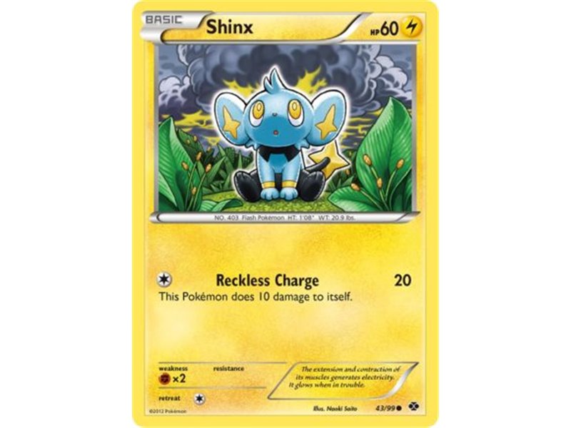 Shinx (Common)