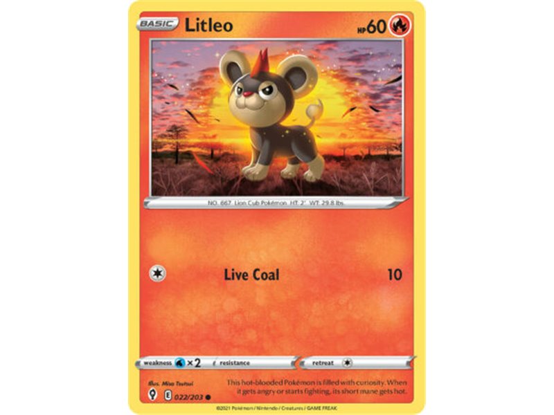 Litleo (Common)