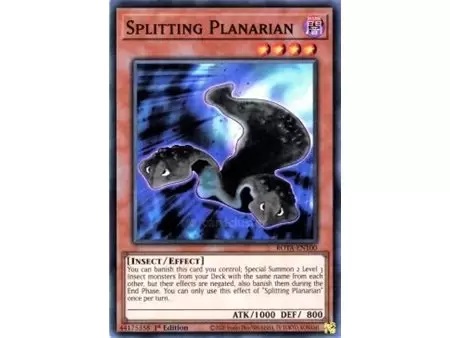 Splitting Planarian (Ultra Rare)