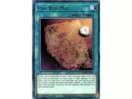 Piri Reis Map (Ultra Rare)