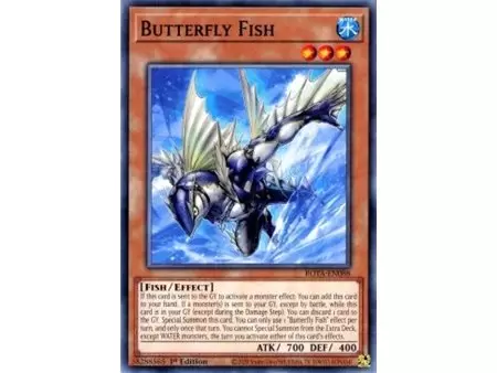 Butterfly Fish (Common)